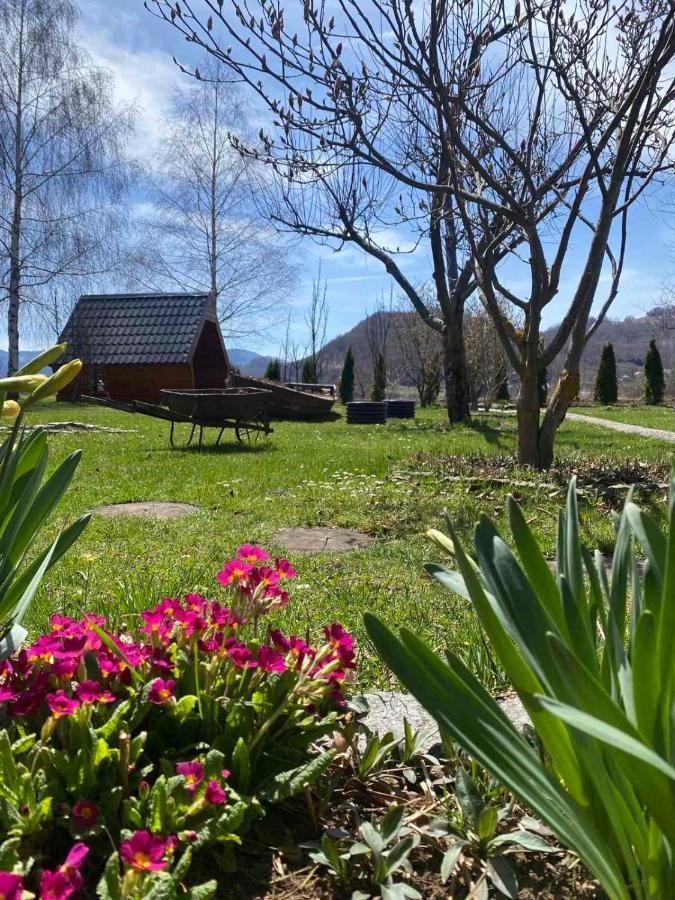 Blue Village 8 Kolasin Ngoại thất bức ảnh