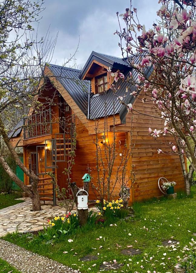 Blue Village 8 Kolasin Ngoại thất bức ảnh